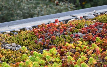the cost of Llanfair Pwllgwyngyll green roof installation