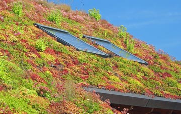 Llanfair Pwllgwyngyll living roof systems