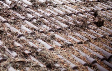 Llanfair Pwllgwyngyll roof cleaning companies